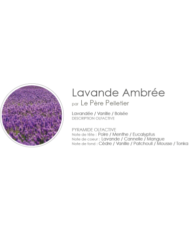 Diffuseur de Parfum Diamante 100 ml