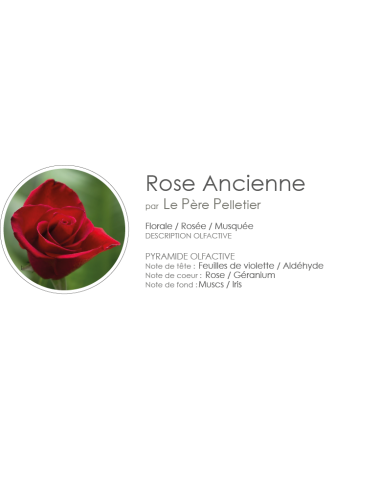 Diffuseur de Parfum Diamante 100 ml