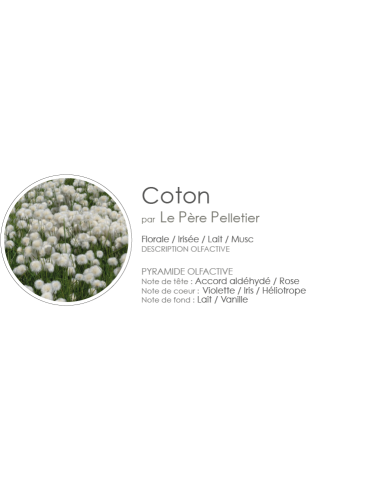 Diffuseur de Parfum Diamante 100 ml