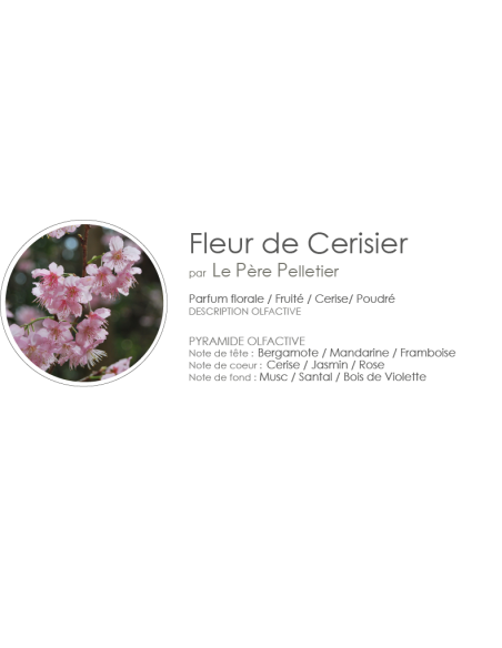 Recharge Diffuseur 100 ml