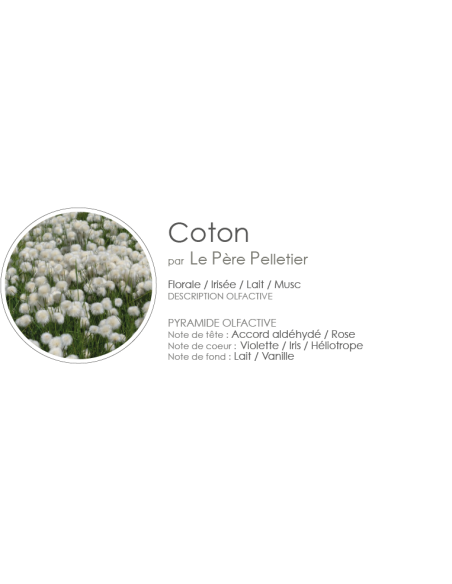 Diffuseur Encrier Fleurs 100 ml