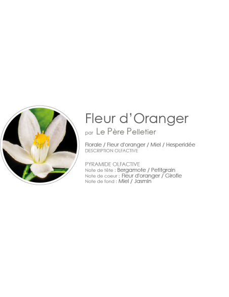Diffuseur Encrier Fleurs 100 ml