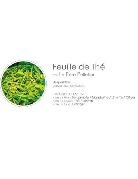 Poudre Aspirateur 400 g