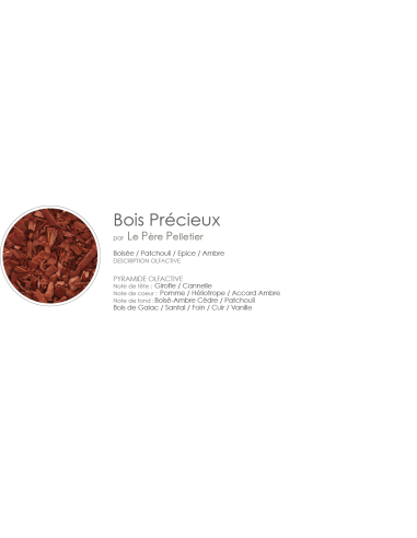 Poudre Aspirateur 400 g parfum Bois Précieux