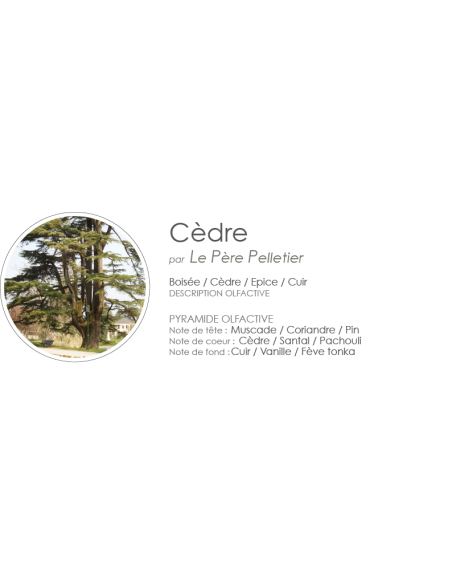 Poudre Aspirateur 400 g parfum Cèdre