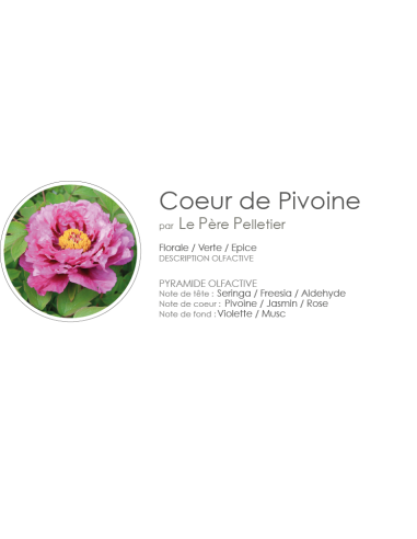 Poudre Aspirateur 400 g parfum Coeur de Pivoine