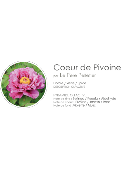 Poudre Aspirateur 400 g parfum Coeur de Pivoine