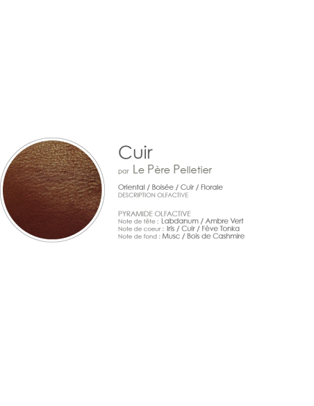 Poudre Aspirateur 400 g parfum Cuir