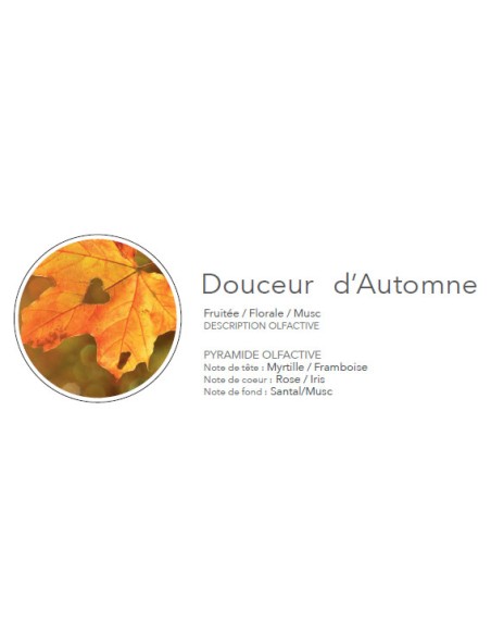 Poudre Aspirateur 400 g Douceur d'Automne
