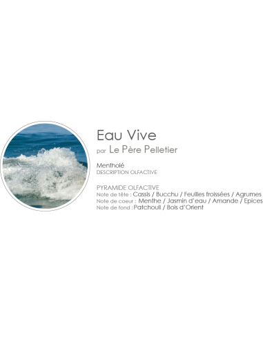 Poudre Aspirateur 400 g parfum Eau Vive