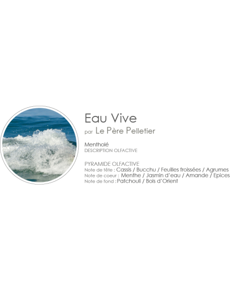 Poudre Aspirateur 400 g parfum Eau Vive