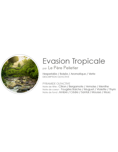 Poudre Aspirateur 400 g parfum Evasion Tropicale