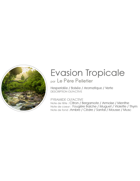 Poudre Aspirateur 400 g parfum Evasion Tropicale