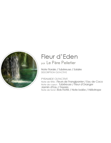 Poudre Aspirateur 400 g parfum Fleur d'Eden