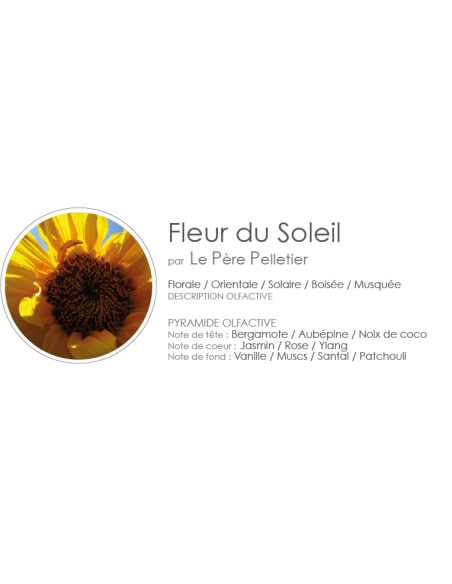 Poudre Aspirateur 400 g parfum Fleur du Soleil