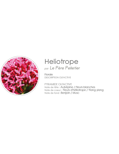 Poudre Aspirateur 400 g parfum Héliotrope