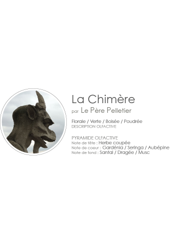 Poudre Aspirateur 400 g parfum La Chimère