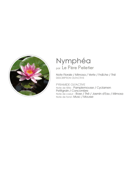 Poudre Aspirateur 400 g parfum Nymphéa