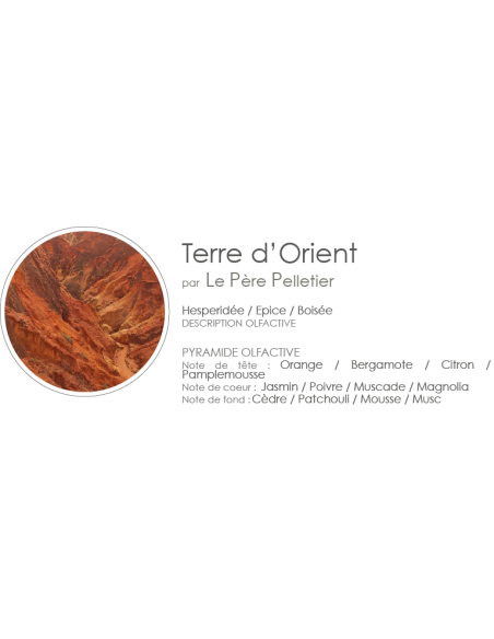 Poudre Aspirateur 400 g parfum Terre d'Orient