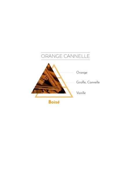 Diffuseur Encrier 100 ml parfum Orange Cannelle