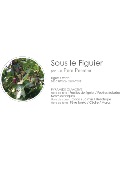 Eau de Linge 1000 ml